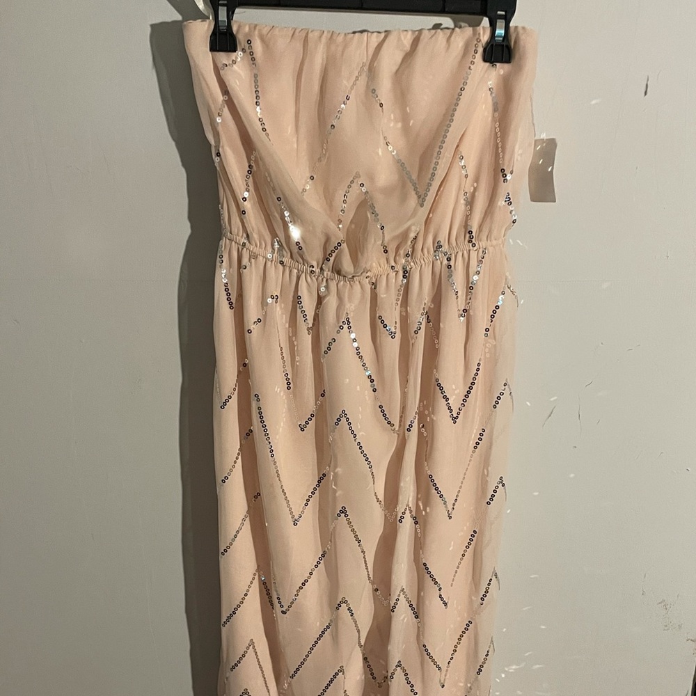 Floor length, formal, pink and silver gown